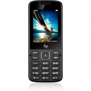Сотовый телефон Fly FF250 (FF250 Black)