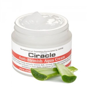 Крем-гель с алоэ для проблемной кожи Ciracle Anti Blemish Aqua Cream - Крем для лица увлажняющий (8809046296659)