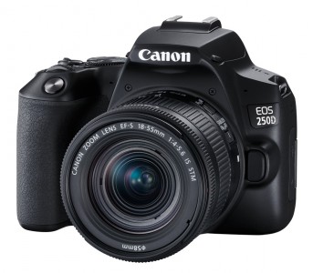 Зеркальный фотоаппарат Canon EOS 250D Kit 18-55mm IS STM, черный (3454C002)