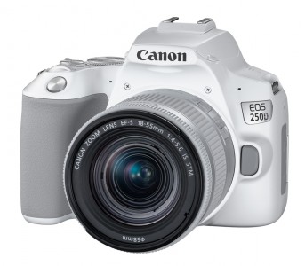 Зеркальный фотоаппарат Canon EOS 250D Kit 18-55 IS STM, белый (3458C001)