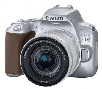Зеркальный фотоаппарат Canon EOS 250D Kit 18-55 IS STM, серебристый (3461C001)