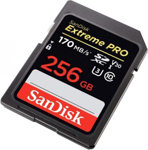 Карта памяти SanDisk SDXC 256GB Extreme Pro UHS-I V30 U3 170 Mb/s (SDSDXXY-256G-GN4IN)