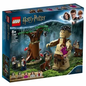 Конструкторы Lego Запретный лес Грохх и Долорес Амбридж (75967)
