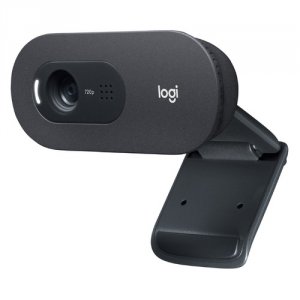 Вебкамера Logitech С505e (960-001372)