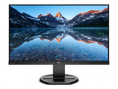 Монитор Philips 252B9/00 (252B9 (00/01))