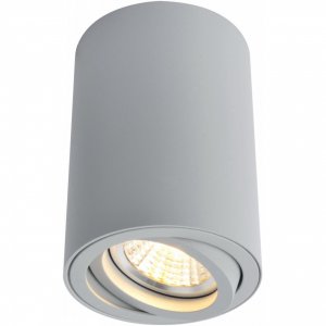 Светильник Arte Lamp A1560pl-1gy sentry (A1560PL-1GY)