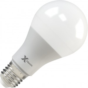Лампа светодиодная X-flash Globe A65 E27 12W 12V белый свет