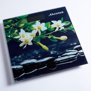 Весы напольные Аксинья 0R-00005496