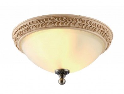 Светильник настенно-потолочный Arte Lamp A9070pl-2ab