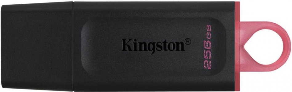 USB флешка Kingston DataTraveler Exodia 256Gb (DTX/256GB)