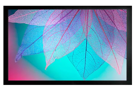 Экраны для проекторов Cactus FrameExpert CS-PSFRE-220X124 124x220
