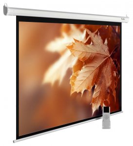 Экраны для проекторов Cactus MotoExpert CS-PSME-300x188-WT белый (CS-PSME-300X188-WT)
