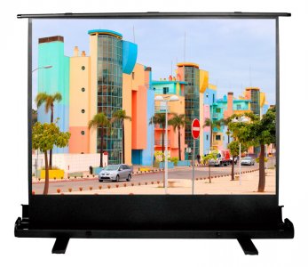 Экраны для проекторов Cactus FloorExpert CS-PSFLE-160X120 120x160