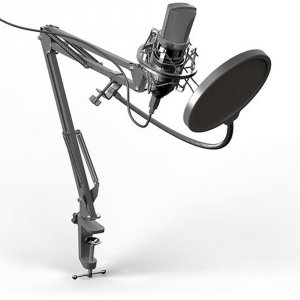Микрофон Ritmix RDM-169 (черный) (80000749)
