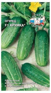 Семена огурцов СеДеК Хрумка F1 0,3 г