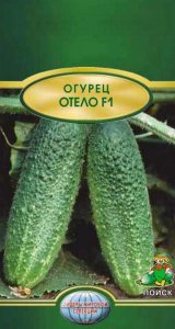 Семена огурцов ПОИСК Отелло F1 0,1 г