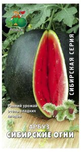 Семена арбуза ПОИСК Сибирская серия Сибирские огни 15 шт
