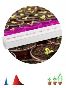 Линейный светодиодный светильник для растений ЭРА LLED FITO-9W-T5-N (Б0045231)