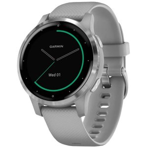 Смарт-часы Garmin Vivoactive 4S Powder Gray/Silver (010-02172-03)