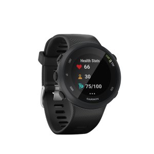 Спортивные часы Garmin Forerunner 45 GPS L Black