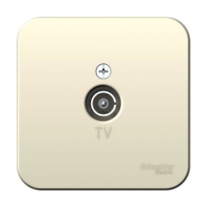 Розетка Schneider Electric Blanca BLNTA000012