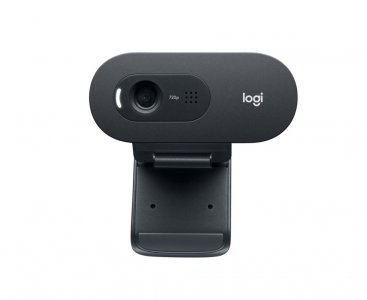 Веб камера Logitech C505 HD (960-001364)
