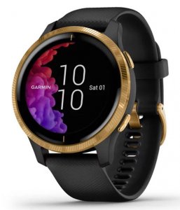 Спортивные часы Garmin Venu Black/Gold (010-02173-33)