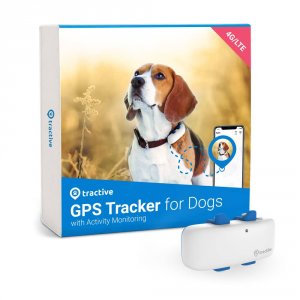 GPS-трекер для собак Tractive Dog 4 LTE (белый) (TRNJAWH)