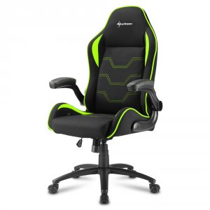 Компьютерное кресло Sharkoon Elbrus 1 Black/Green