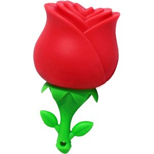 USB-флешка Smartbuy Wild Series: Роза 32GB (SB32GBRose)