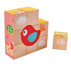 Деревянные игрушки Hape Кубики Лили 9 элементов (E0452_HP)