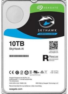 Жесткий диск Seagate ST10000VE0008