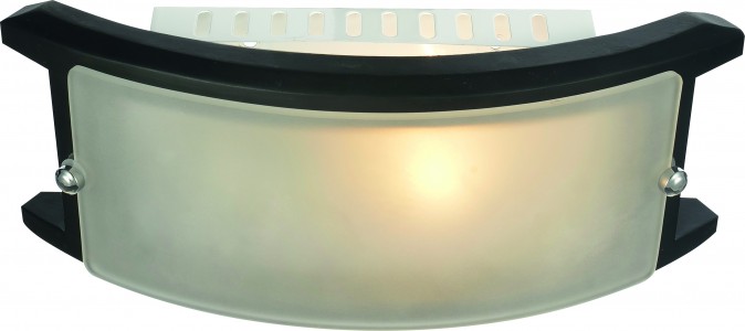 Светильник настенный Arte Lamp A6462ap-1ck