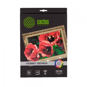 Холст для печати Cactus CS-СA326010