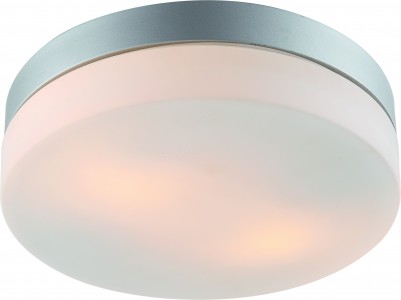 Светильник настенно-потолочный Arte Lamp A3211pl-2si