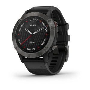 Спортивные часы Garmin Fenix 6 Sapphire (черный, серый) (010-02158-11)