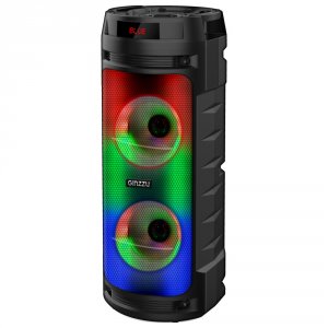Колонка Ginzzu GM-219 Midi TWS/BT/USB/TF/FM/ДУ