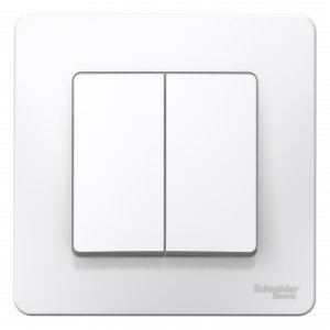 Двухклавишный переключатель Schneider Electric Blnvs106601 blanca (BLNVS106601 1210257)