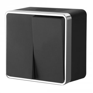 Влагозащищенный двухклавишный выключатель Werkel W5020235 (a050976)