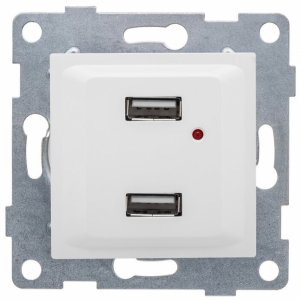 Двойная розетка usb Gusi Electric С11usb2-001 (С11USB2-001)