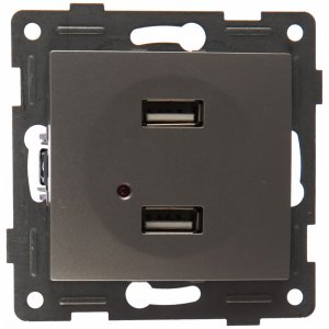 Двойная розетка usb Gusi Electric С10usb2-004 (С10USB2-004)