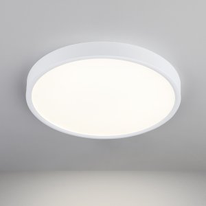 Стационарный светодиодный светильник Elektrostandard DLS034 (a043016)