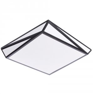 Потолочные светильники Arte Lamp A1929PL-1BK