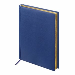 Недатированный ежедневник BRAUBERG Iguana, А5, 160 листов, синий (125091)