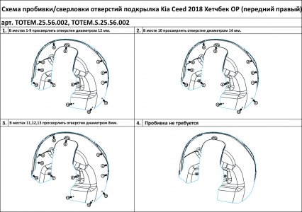 Передний правый подкрылок хетчбек KIA Ceed, 2018-, Totem ТОТЕМ.25.56.002