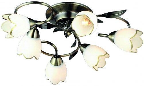 Светильник потолочный Arte Lamp Perce (A6061PL-6AB)