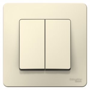 Двухклавишный выключатель Schneider Electric Blanca BLNVS010502