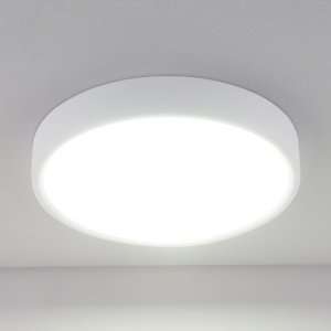 Стационарный светодиодный светильник Elektrostandard DLS034 (a043015)