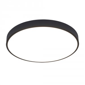 Потолочный светильник Arte Lamp A2672PL-1BK