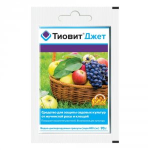 Средство для защиты растений от заболеваний и паутинного клеща Ваше Хозяйство Фунгицид Ваше Хозяйство Тиовит Джет 90 г